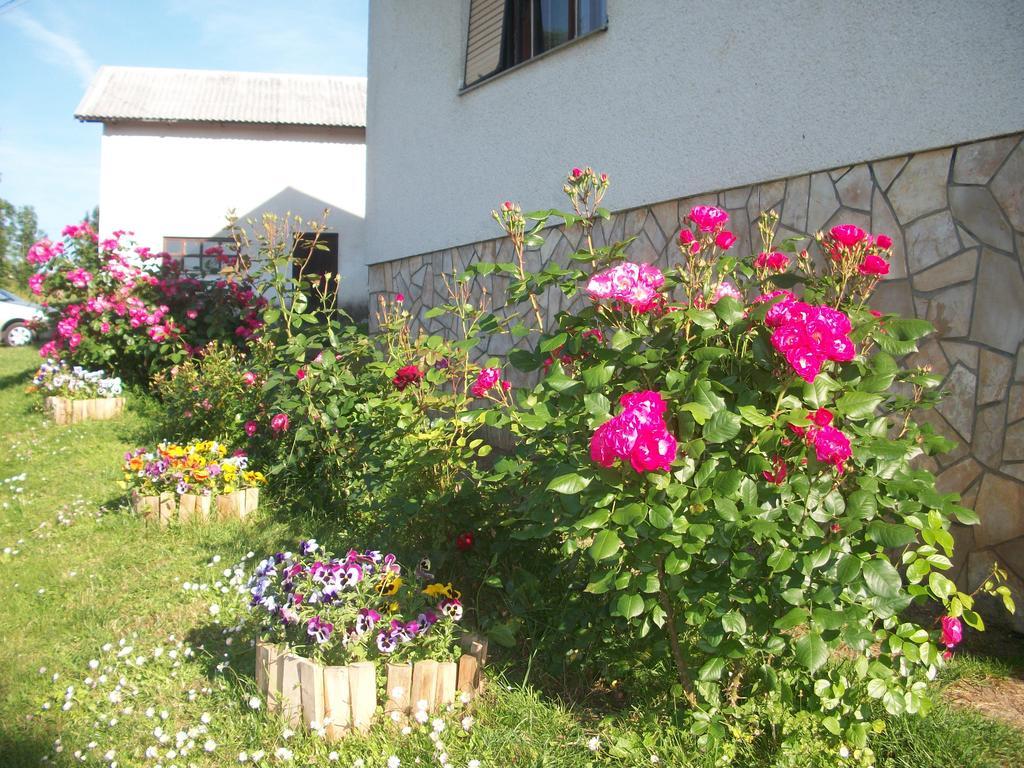 House Veljko Vrhovine Exterior foto